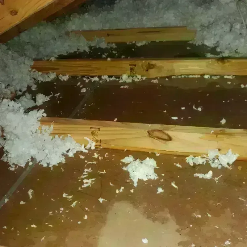 Attic Water Damage in North Sioux City, SD