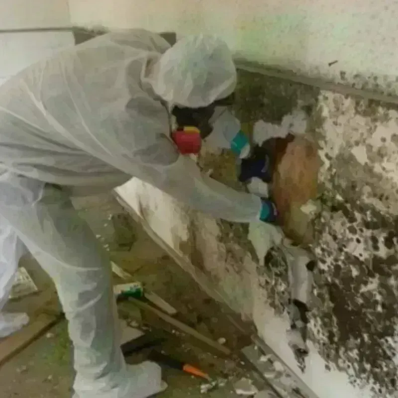 Mold Remediation and Removal in North Sioux City, SD