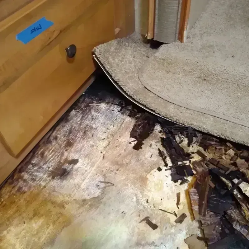 Best Wood Floor Water Damage Service in North Sioux City, SD